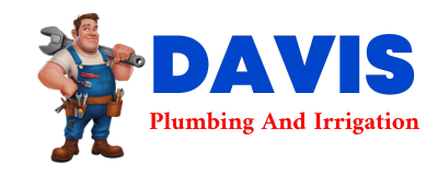 Trusted plumber in LASARA